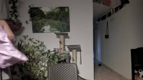         online show from April 2026 11:04:02 AM