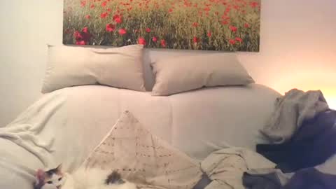 Snapshot of sexurbation chatting on December 2024 03:01:02 PM Sexurbation online show from December 2024 03:01:02 PM