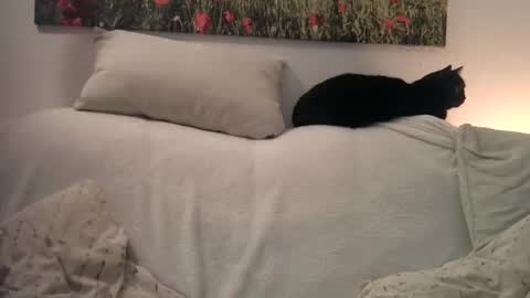 Snapshot of sexurbation chatting on January 2025 10:46:01 PM Sexurbation online show from January 2025 10:46:01 PM