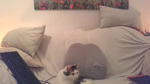 Sexurbation online show from December 2025 08:16:02 PM