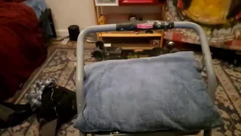 Snapshot of sexy_cayden chatting on January 2025 11:58:02 AM Cayden online show from January 2025 11:58:02 AM