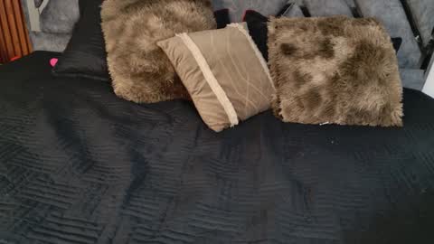 Dafne online show from April 2026 10:49:02 AM