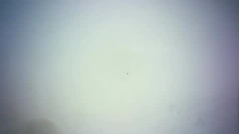 sweetjoy9 online show from March 2026 02:34:01 PM