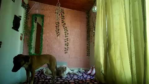 sexy lolas online show from July 2026 08:46:01 PM
