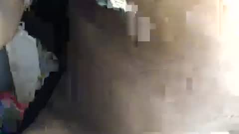 naomi online show from September 2025 04:51:02 PM