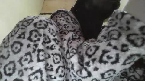 Sexyblackg online show from January 2025 07:31:01 AM