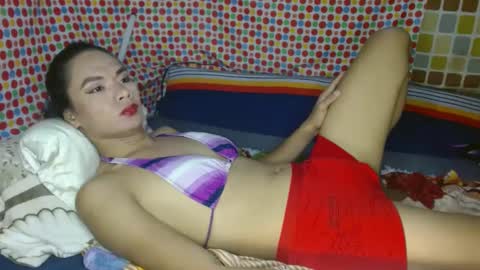 nikko online show from January 2025 09:19:02 AM