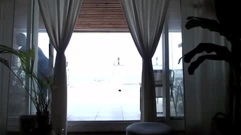 Arda online show from April 2026 11:14:02 AM