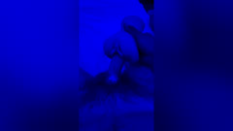 sh591012 online show from July 2026 06:45:01 AM