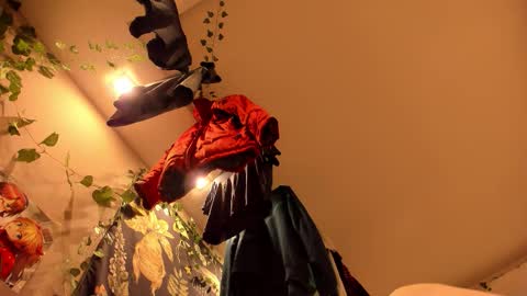 shadow_raffi online show from November 2025 03:50:01 AM