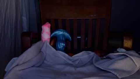 Snapshot of shakespeareisahomie chatting on November 2025 12:10:01 AM shakespeareisahomie online show from November 2025 12:10:01 AM