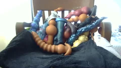 Snapshot of shakespeareisahomie chatting on November 2025 03:06:02 PM shakespeareisahomie online show from November 2025 03:06:02 PM