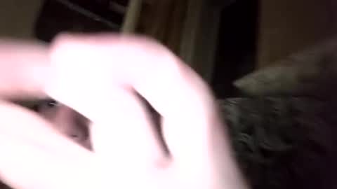 Shamilka online show from September 2025 07:59:01 PM