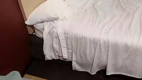 Snapshot of shanegold8266 chatting on January 2025 07:34:02 PM Shane Phantoms online show from January 2025 07:34:02 PM