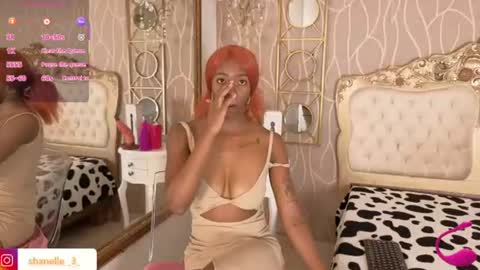 Snapshot of shanelle__ chatting on June 2026 02:04:01 PM S H A N E L L E online show from June 2026 02:04:01 PM