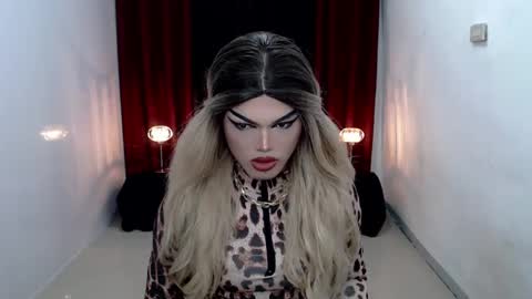 Snapshot of shanex01 chatting on December 2024 05:21:02 PM Shane X online show from December 2024 05:21:02 PM