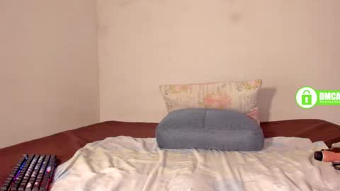 Snapshot of shannick03 chatting on February 2025 08:30:01 PM shack03 online show from February 2025 08:30:01 PM