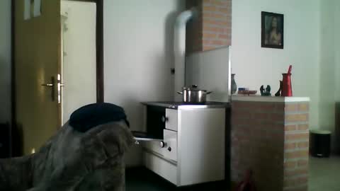 excelo21 online show from December 2024 09:44:01 AM