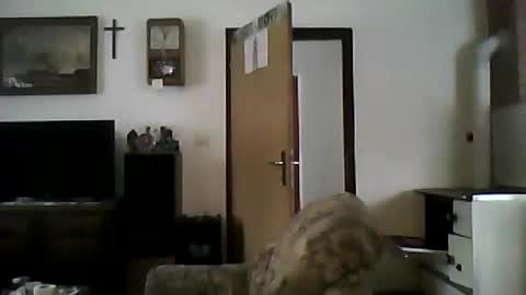 excelo21 online show from January 2025 11:56:01 AM