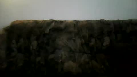 excelo21 online show from February 2025 02:13:02 PM