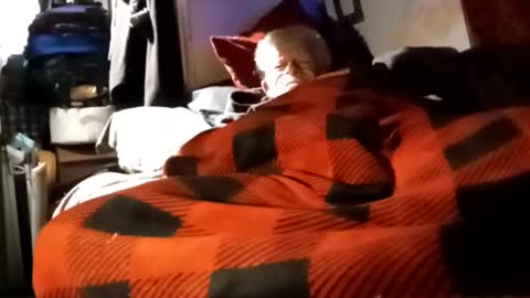 Snapshot of sharoc666 chatting on December 2024 12:03:01 PM Shamroc online show from December 2024 12:03:01 PM