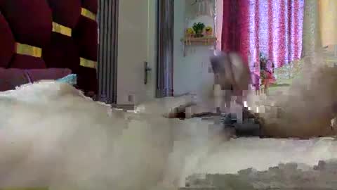 shashank2428 online show from January 2025 09:57:02 AM