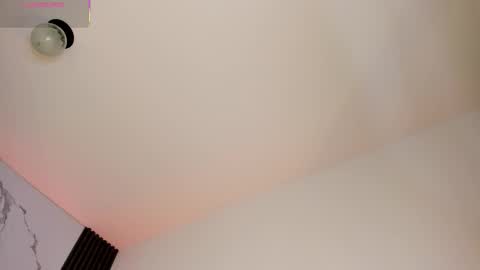 Snapshot of shaunadream_ chatting on February 2026 04:41:02 AM Shauna online show from February 2026 04:41:02 AM