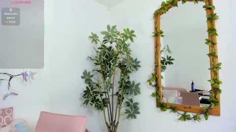 Shego  online show from November 2025 12:22:01 AM