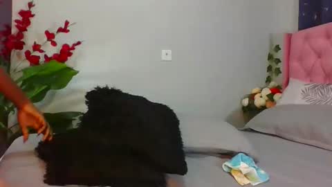 shelia420715 online show from April 2026 02:55:01 AM