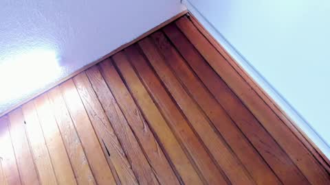 Snapshot of sherydan_love chatting on January 2025 02:14:01 PM mia online show from January 2025 02:14:01 PM