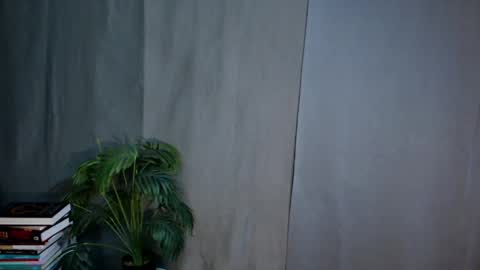 Lana But you can spell it backwards online show from April 2026 01:50:02 AM