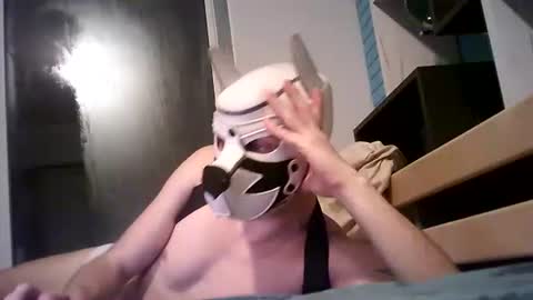 Snapshot of shirogane2004 chatting on January 2026 08:00:02 PM shirogane2004 online show from January 2026 08:00:02 PM