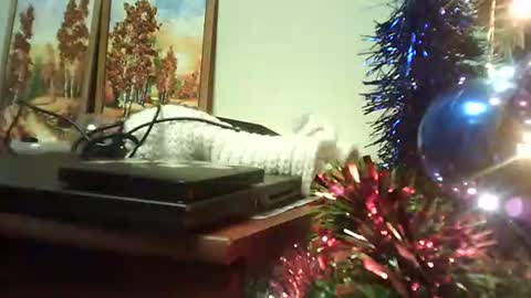 Snapshot of shirogane2004 chatting on January 2026 07:15:01 PM shirogane2004 online show from January 2026 07:15:01 PM