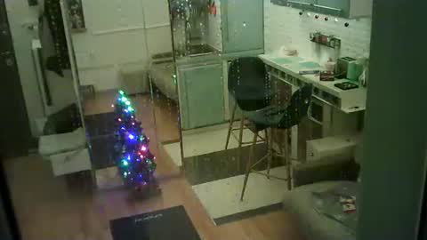 Snapshot of shirogane2004 chatting on January 2026 07:37:02 PM shirogane2004 online show from January 2026 07:37:02 PM