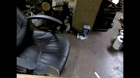 Shoani online show from November 2025 07:41:01 AM