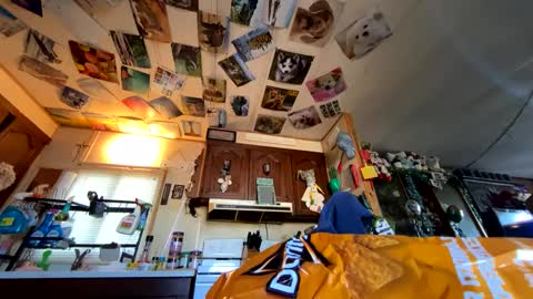 Snapshot of shorty920505 chatting on September 2025 10:03:02 PM shorty920505 online show from September 2025 10:03:02 PM