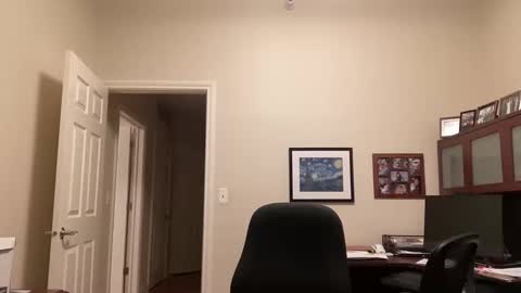 Snapshot of showmet chatting on February 2025 04:31:01 AM Chicago Guy online show from February 2025 04:31:01 AM