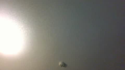 showuthed online show from July 2026 02:38:01 AM