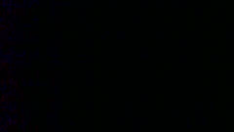 Bambi online show from February 2025 09:11:01 AM