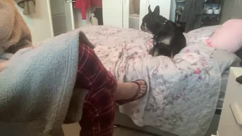 shyboy0533 online show from November 2025 10:49:02 AM