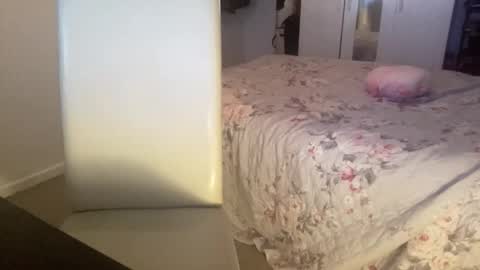 shyboy0533 online show from November 2025 06:29:01 PM