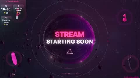 Snapshot of sideswitch chatting on January 2025 02:28:02 AM sideswitch online show from January 2025 02:28:02 AM