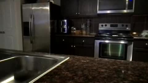 SierraLovelyxx online show from March 2026 04:29:01 AM