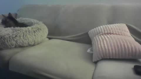 Snapshot of sifgoddess chatting on February 2026 02:29:01 AM Lady Sif online show from February 2026 02:29:01 AM