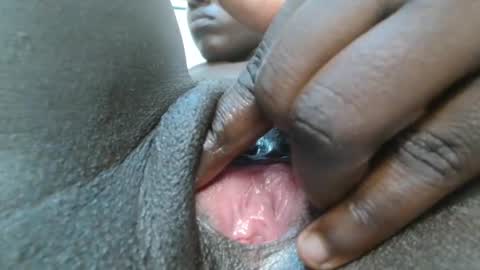 silent carry online show from February 2026 08:40:02 AM