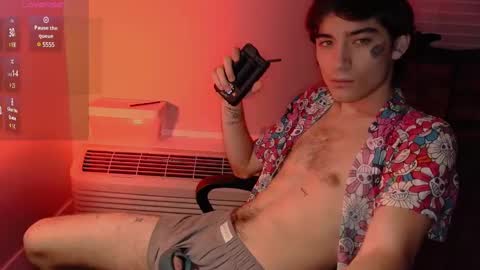 Snapshot of silly_cybin chatting on January 2025 01:21:01 PM cybin online show from January 2025 01:21:01 PM