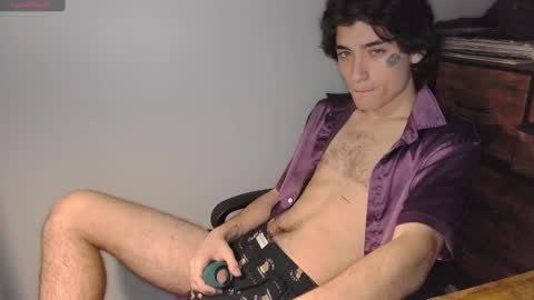 Snapshot of silly_cybin chatting on February 2025 12:03:02 PM cybin online show from February 2025 12:03:02 PM