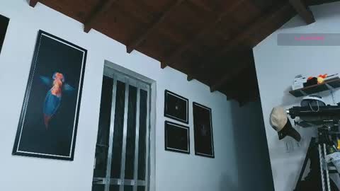 silvabranko online show from April 2026 01:16:02 AM