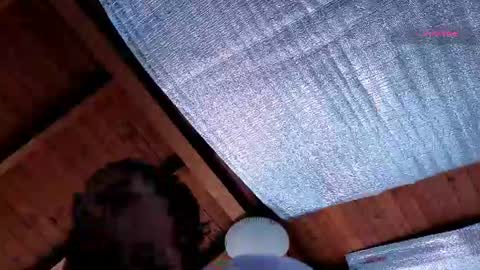 silvabranko online show from July 2026 03:04:02 PM