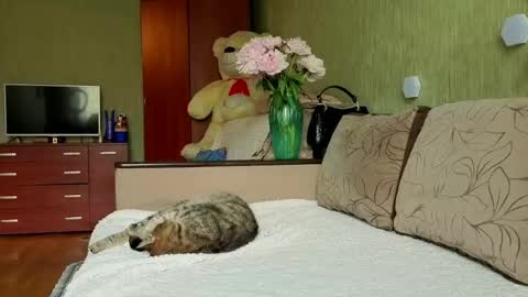 Snapshot of silviasexyy chatting on May 2026 12:24:01 PM miss Anna online show from May 2026 12:24:01 PM